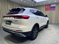 2021 Haval H6 1.5GDIT AT, белый — фото 7