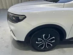 2021 Haval H6 1.5GDIT AT, белый — фото 22