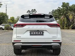 2021 Haval H6 1.5GDIT AT, белый — фото 5