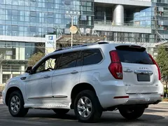 2022 Haval H9 2.0T 4WD Elite 5-seat, белый — фото 6