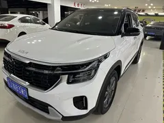 2023 Kia Seltos 1.5L CVT Luxury, белый — фото 1