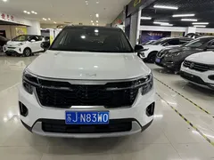 2023 Kia Seltos 1.5L CVT Luxury, белый — фото 2