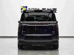 2024 Hongqi HQ9 2.0T 4WD — фото 12