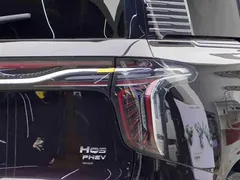 2024 Hongqi HQ9 2.0T 4WD — фото 13