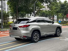2020 Lexus RX 300 2WD Elite — фото 8