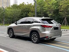 2020 Lexus RX 300 2WD Elite — фото 9