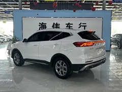 2023 Haval H6 1.5T AT, белый — фото 16