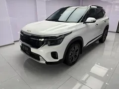 2023 Kia Seltos 1.5L CVT Luxury, белый — фото 1