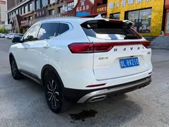 2023 Haval H6 1.5T AT Guochao Urban, белый — фото 4