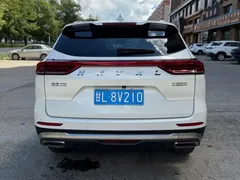 2023 Haval H6 1.5T AT Guochao Urban, белый — фото 5