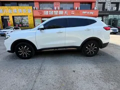 2023 Haval H6 1.5T AT Guochao Urban, белый — фото 8