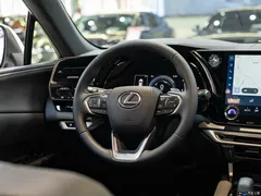 2023 Lexus RX 350h 4WD Enjoy — фото 13