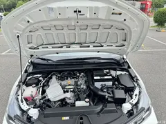 2022 Toyota Corolla 1.2T S-CVT Pioneer PLUS — фото 12