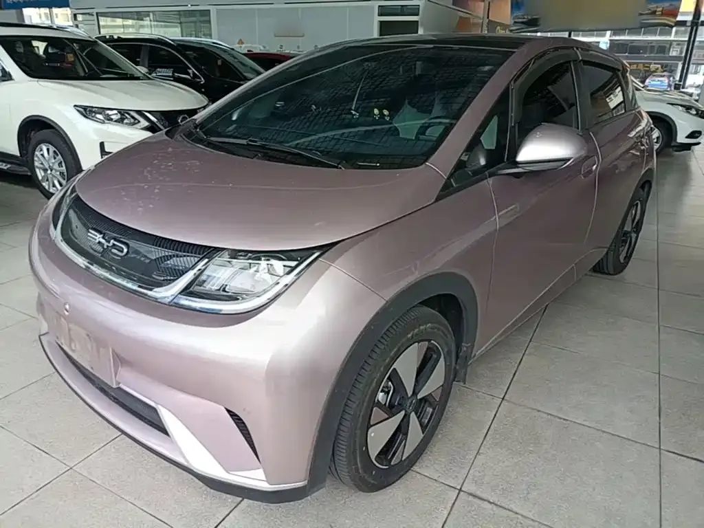 2023 BYD Dolphin 420km Fashion