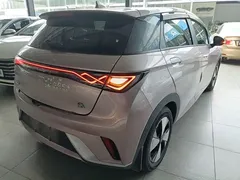 2023 BYD Dolphin 420km Fashion, чёрный — фото 7