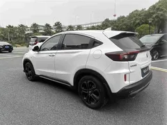 2021 Honda XR-V 220TURBO CVT Comfort, белый — фото 9