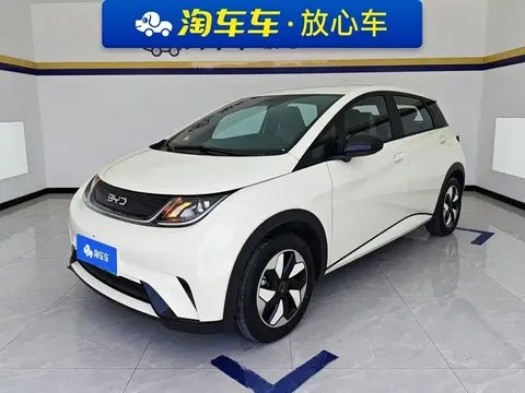 2025 BYD Dolphin 420km Freedom