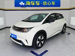 2025 BYD Dolphin 420km Freedom — фото 1