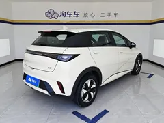 2025 BYD Dolphin 420km Freedom — фото 3