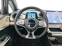 2025 BYD Dolphin 420km Freedom — фото 15