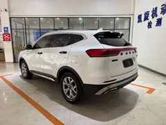 2021 Haval H6 1.5T AT, белый — фото 6