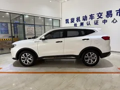 2021 Haval H6 1.5T AT, белый — фото 7