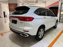 2021 Haval M6 Plus 1.5T MT Elite, белый — фото 4