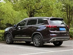 2021 Chery Tiggo 8 Pro 290TGDI DCT luxury — фото 7