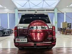 2023 Tank 500 New Energy Hi4-T — фото 19