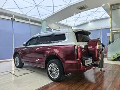 2023 Tank 500 New Energy Hi4-T — фото 20