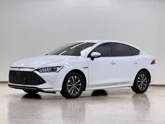 2024 BYD Qin PLUS 55KM, белый — фото 1