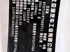 2024 BYD Qin PLUS 55KM, белый — фото 28