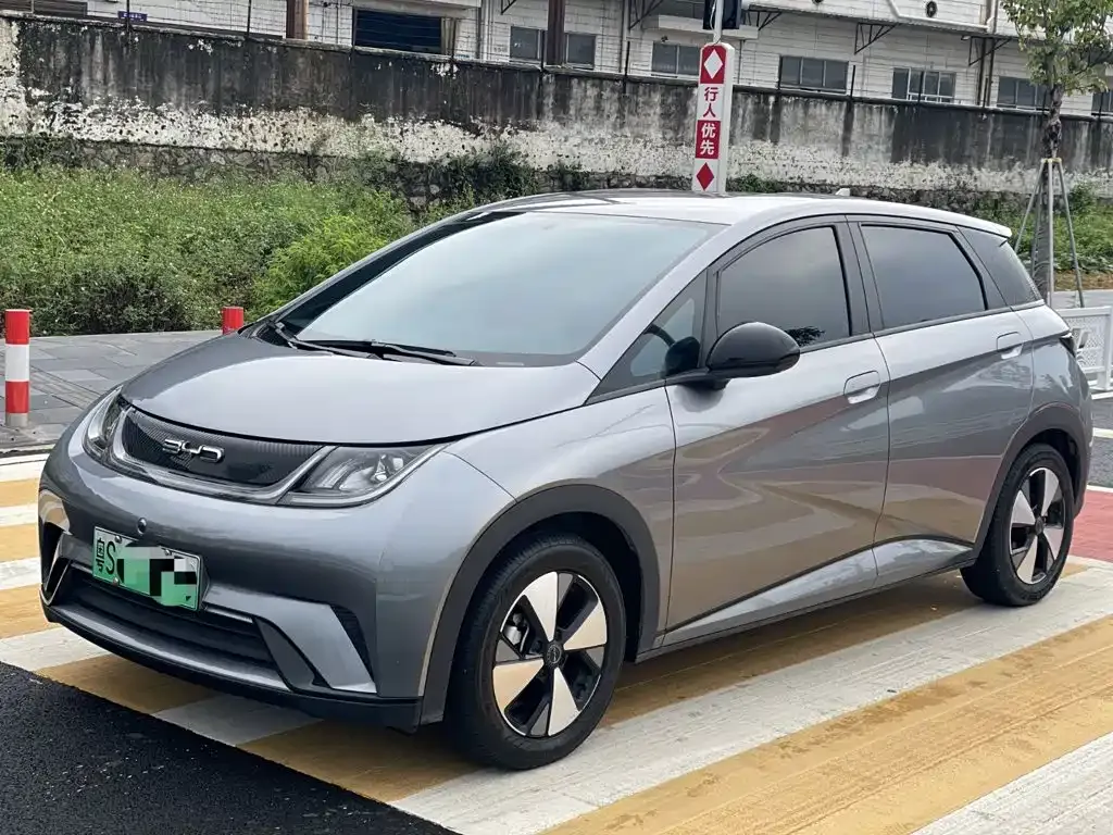 2024 BYD 420km