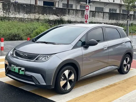 2024 BYD 420km