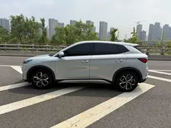 2024 BYD Yuan PLUS Honor 430km Leading — фото 11
