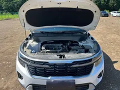 2023 Kia Seltos 1.5L CVT Luxury, белый — фото 21