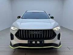 2022 Haval Chitu 1.5T, белый — фото 8