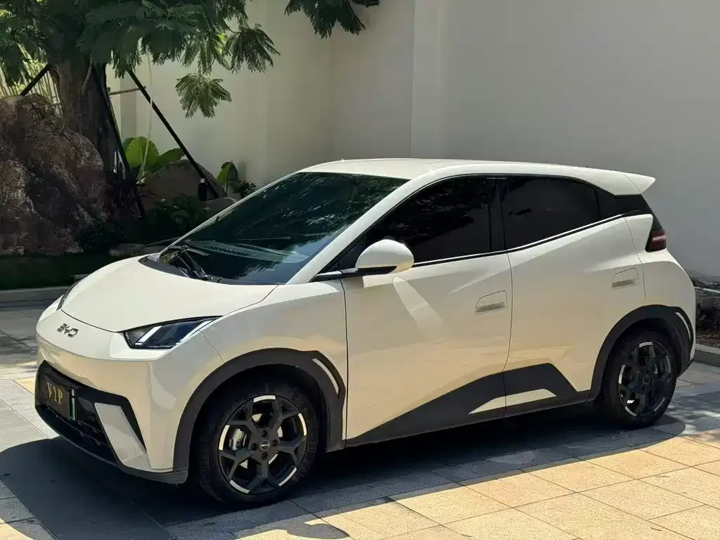 2024 BYD Seagull EV 305km Honor Freedom