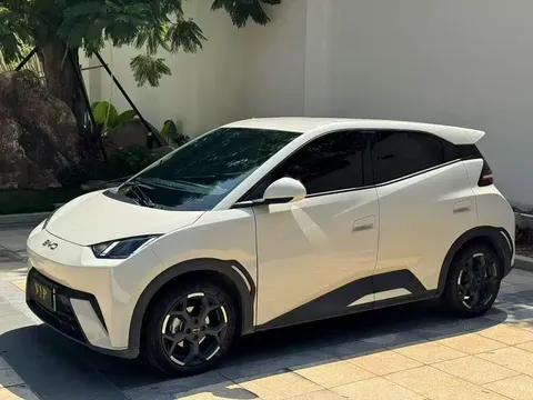 2024 BYD Seagull EV 305km Honor Freedom