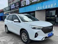 2023 Haval M6 Plus 1.5T DCT Luxury, белый — фото 3