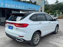 2023 Haval M6 Plus 1.5T DCT Luxury, белый — фото 12