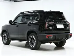 2022 Haval Havaldog 2.0T DCT 4WD Roaring Dog Hunting, чёрный — фото 4