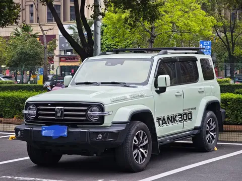 2021 Tank 300 2.0T