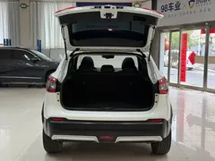 2022 Nissan Qashqai 2.0L CVT XV Prem Luxury, белый — фото 24