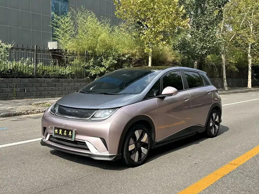 2021 BYD Dolphin EV 401km Knight Edition