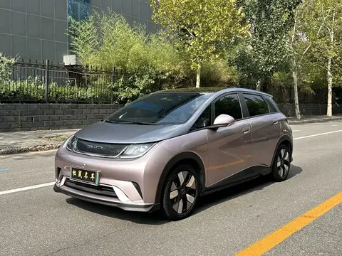2021 BYD Dolphin EV 401km Knight Edition