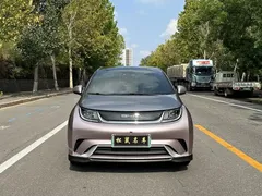 2021 BYD Dolphin EV 401km Knight Edition — фото 2