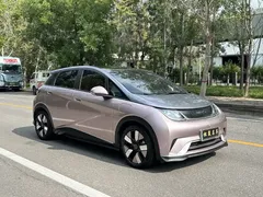 2021 BYD Dolphin EV 401km Knight Edition — фото 3