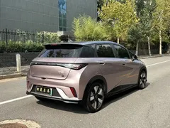 2021 BYD Dolphin EV 401km Knight Edition — фото 7