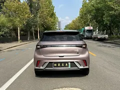 2021 BYD Dolphin EV 401km Knight Edition — фото 8